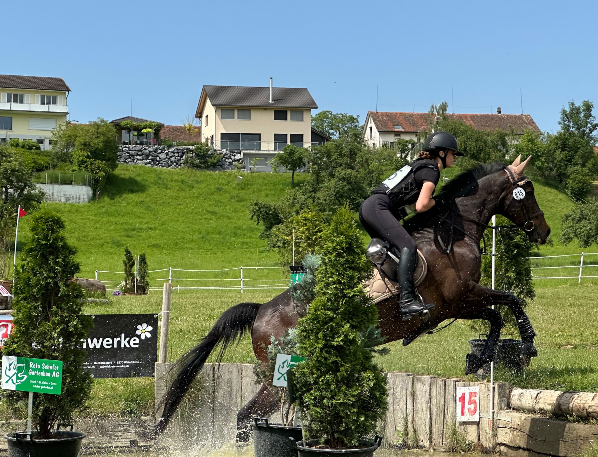 022e6ae3-dbd8-426f-9c7c-f3924e20d2a8