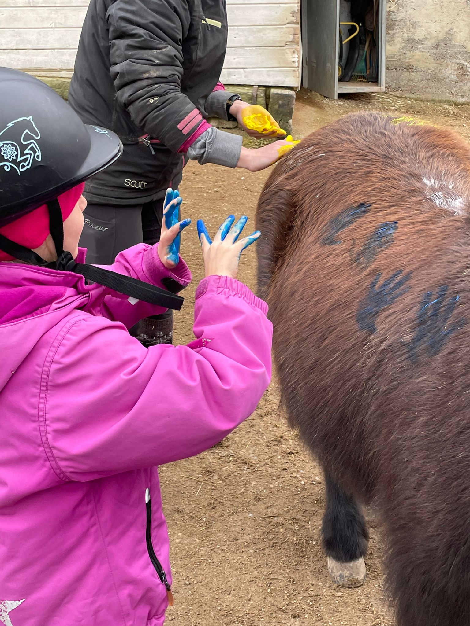 1387615b-874d-4961-b5a0-65f9e4419685