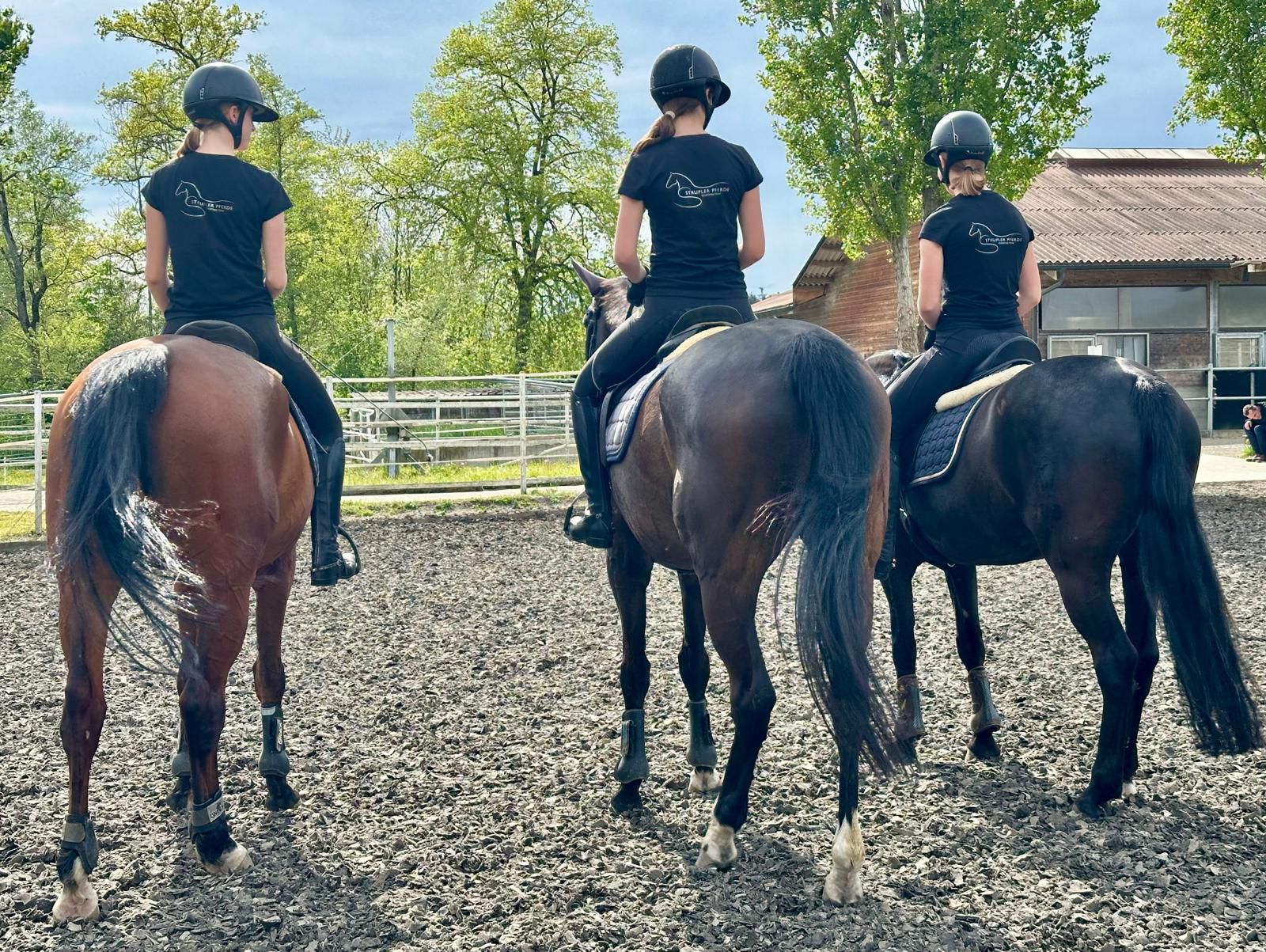 4da528b6-2860-4b4d-a718-448c8748431f