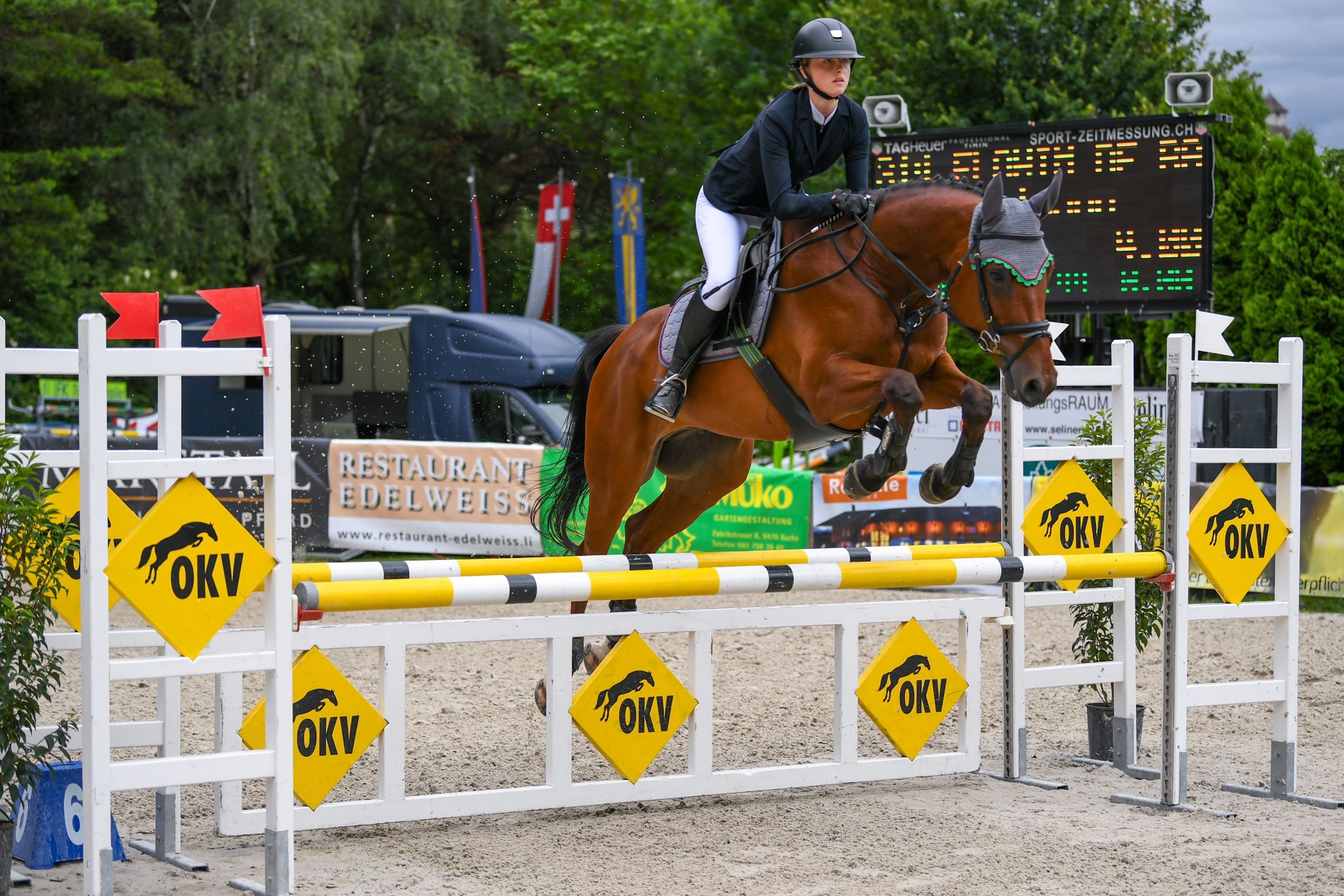 6d1e703e-c69e-4a5a-a4cf-9b298cea0ca1