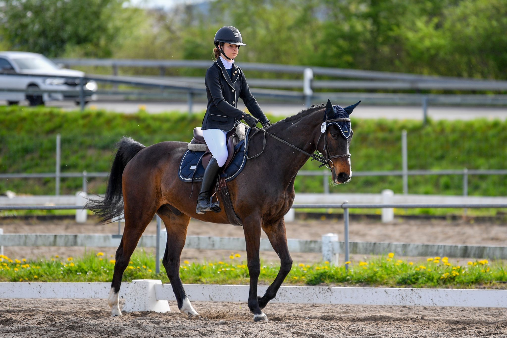 88b0ec6f-9655-43b1-9f41-0513d5f3697f