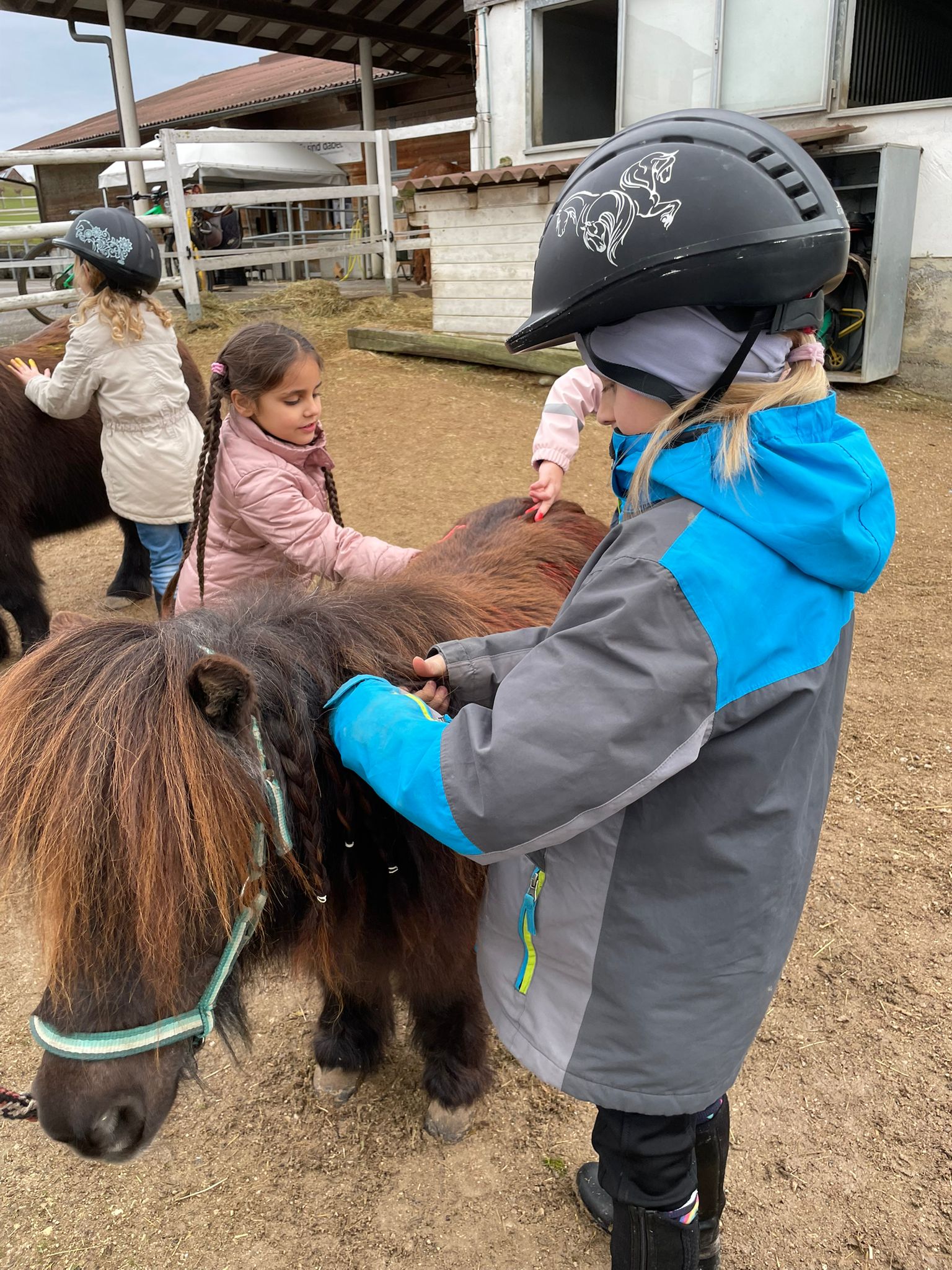 8e793fb8-f2b1-4564-ab41-c228dc587c78