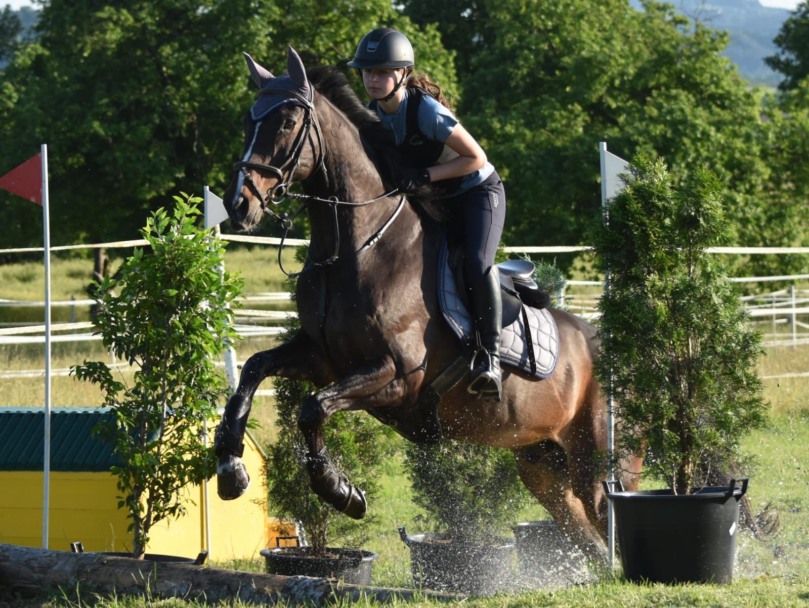 b0762ab2-bc87-48c2-90a2-e86cc97d0fc8