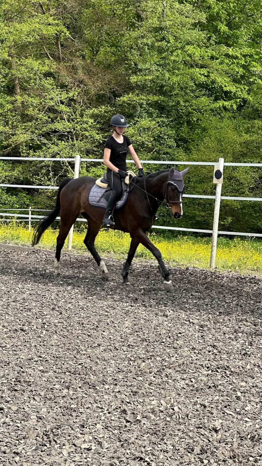 b1490cdf-ac78-4436-9f83-7a808c9084e4