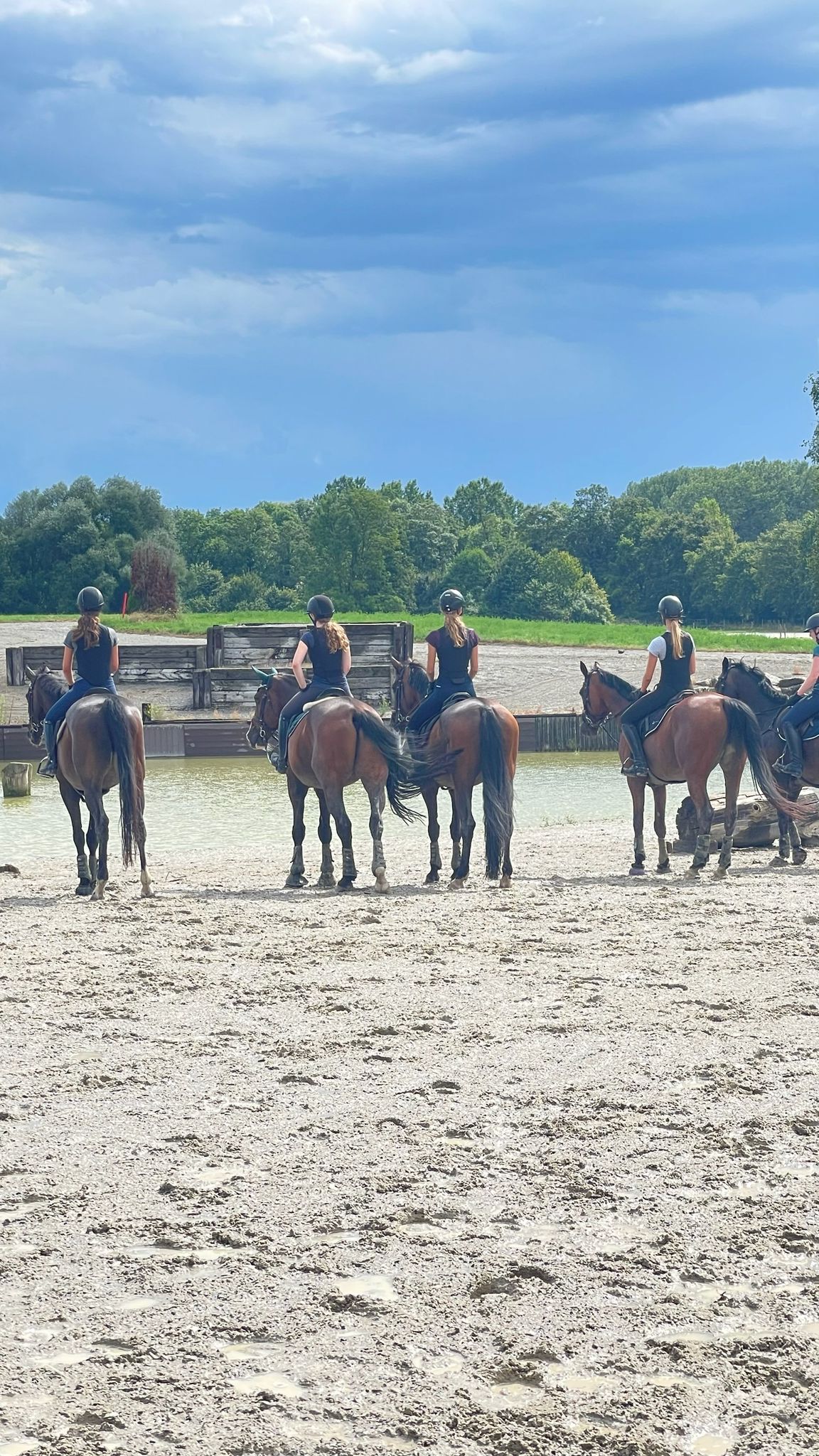 d586a1da-3cc6-43e0-9f8b-7d2423084af2